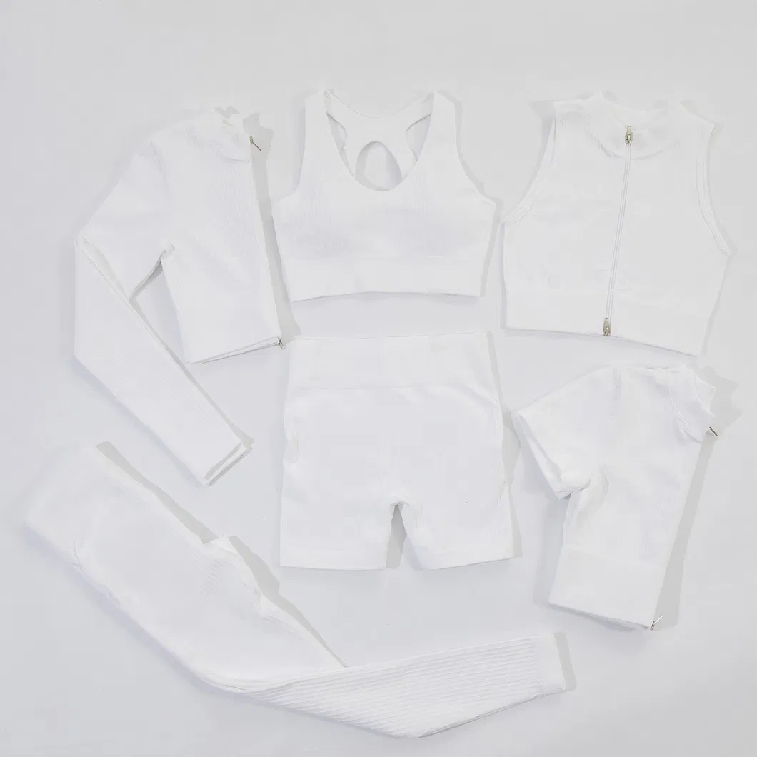 Conjunto de Esportes Feminino Personalizado 6 Roupas de Atividade Fitness Yoga Sem Costura para Academia