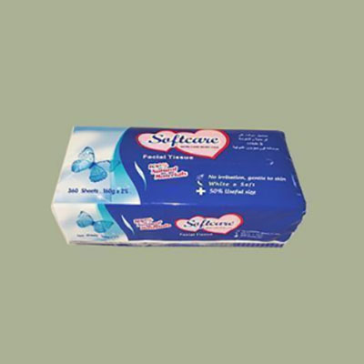 ODM Facial tissue Factory, Exporters