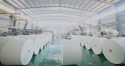 UP Group Pack food packaging board products - sustainable biodegradable materials