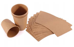Bamboo paper