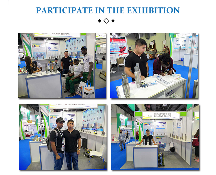 Exhibition