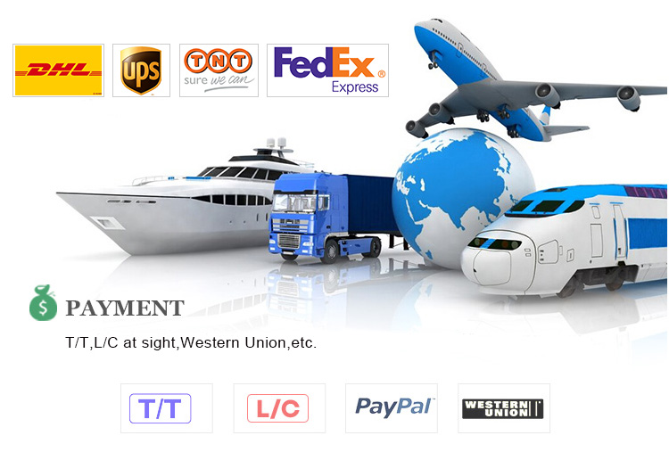 Logistics Shipping Methods and Payment Options