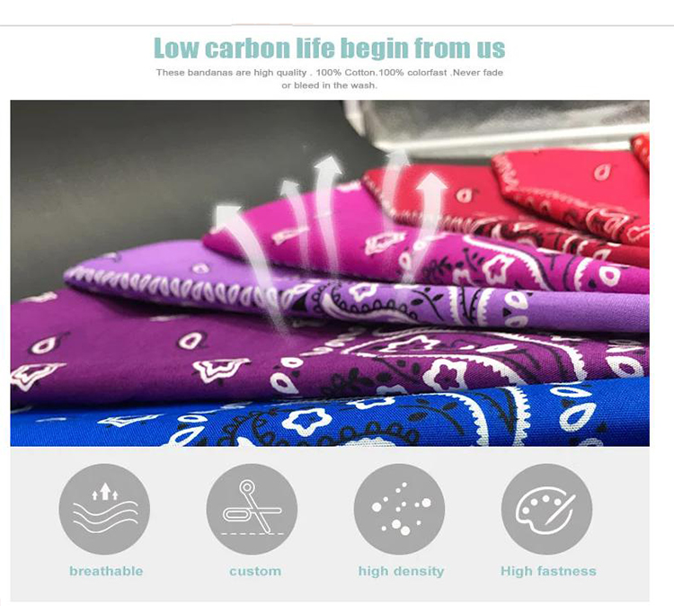 Why Choose Us