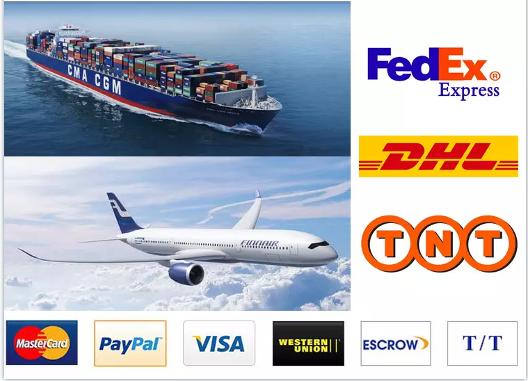 Shipping Information