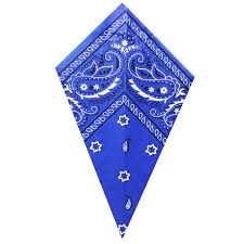 100% Polyester Microfibre Bandana Novelty Print Head Wrap Scarf Wristband for Adults and Kids