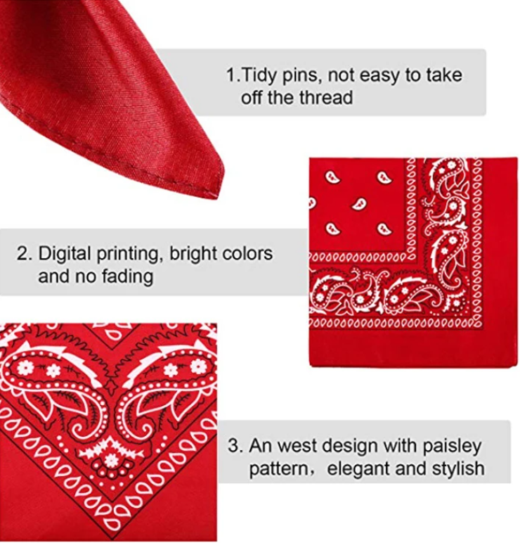 Red Paisley Bandana