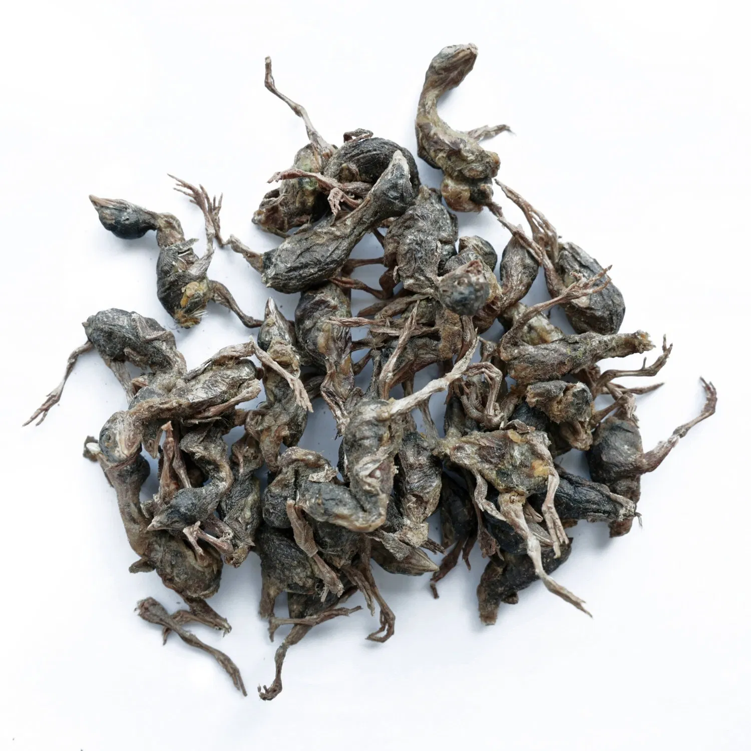 Omega-3 &amp; Astaxanthin Food Freeze-Dried Antarctic Krill Pet Snacks