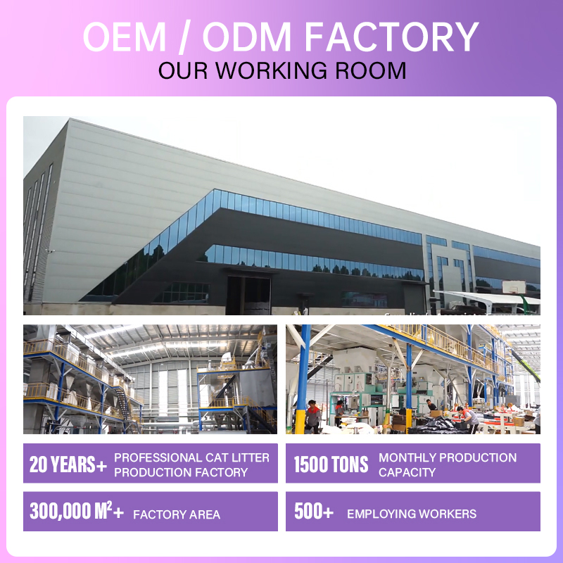 BSCI OEM Dog Food Wholesale Direct Sales Price Organic Healthy Delicious Dry Dog Food Pet Food