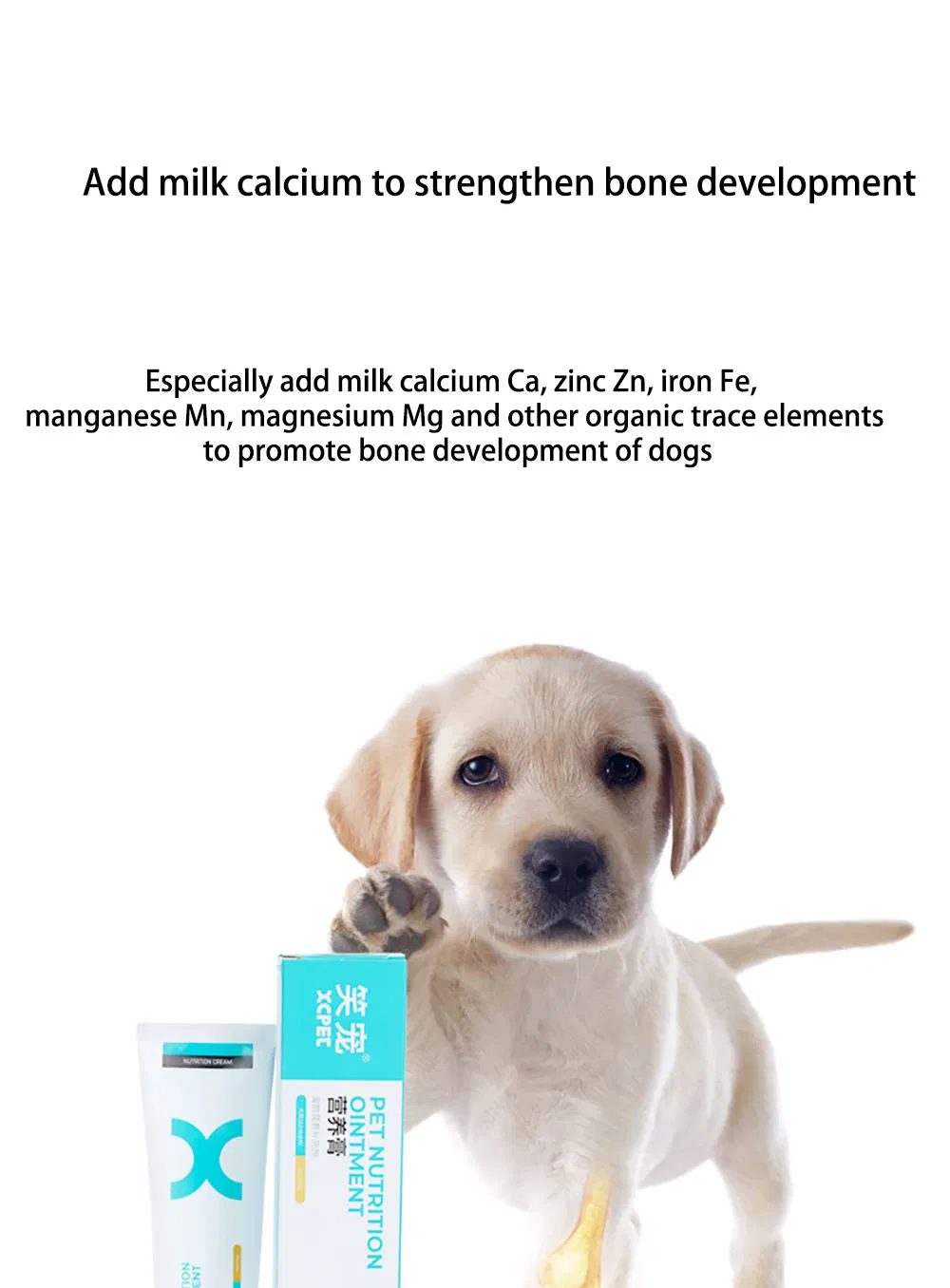 Health Products to Boost Immune Weight and Hair Supplements Pet Dog Nutrition Cream Pet Food