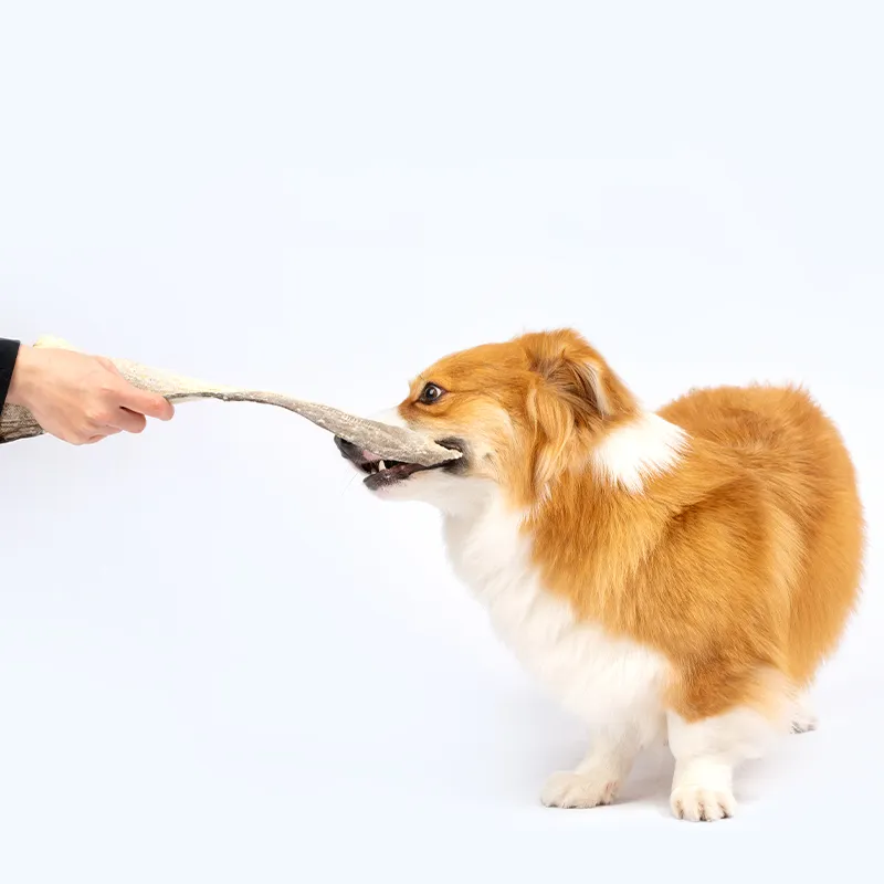 Dried Pet Food Detail 2