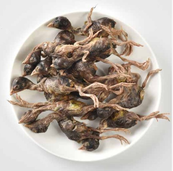 Wholesale Cat Dog Feed Food Treats Freeze-Dried Quail Pet Snacks