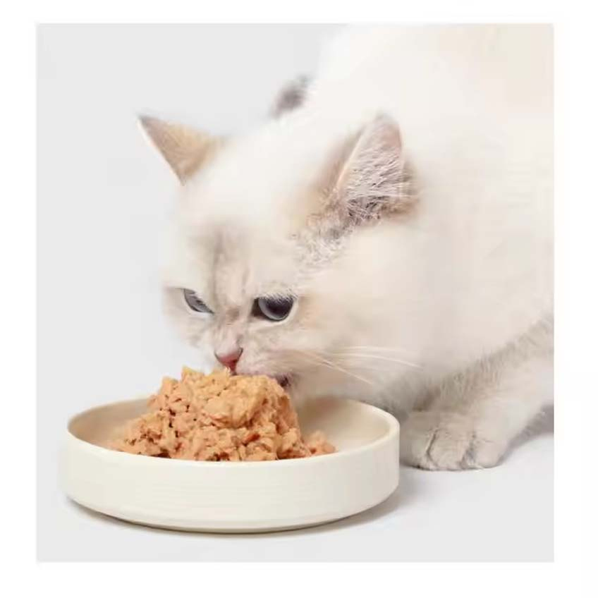 Pet Products Free Samples Staple Food Canned Fresh Meat Wet Cat Dog Food