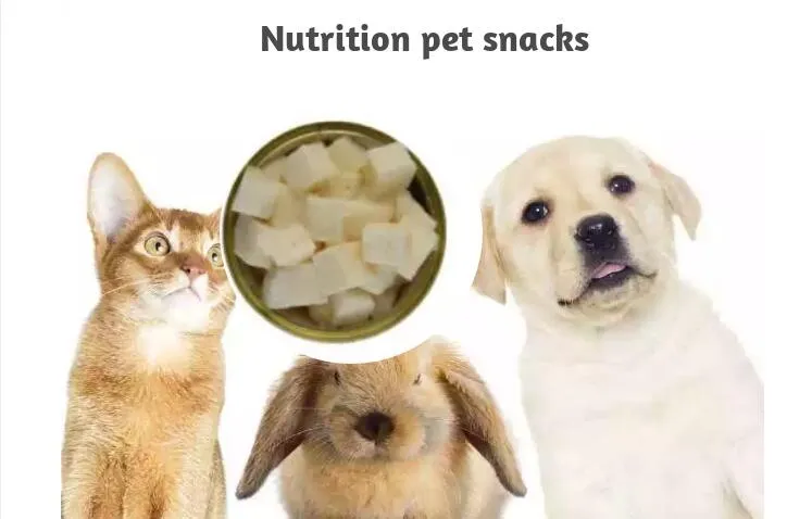 Pet Food Ingredient
