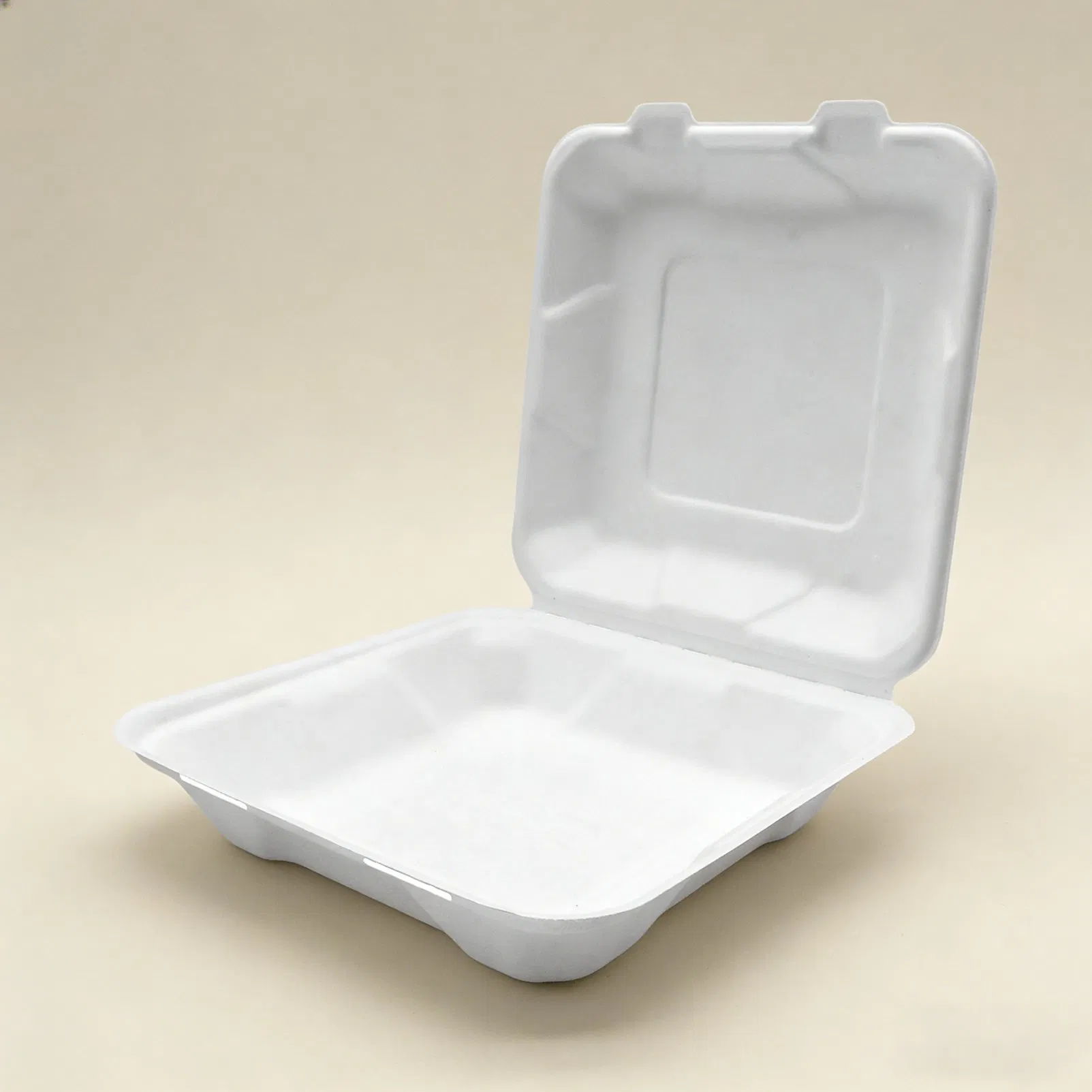 Eco Friendly Sugarcane Bagasse Biodegradable Compostable Paper Disposable Takeaway Food Packaging Containers