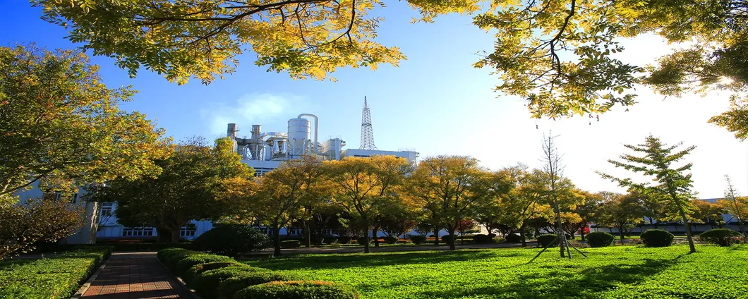 Automatic Production Line