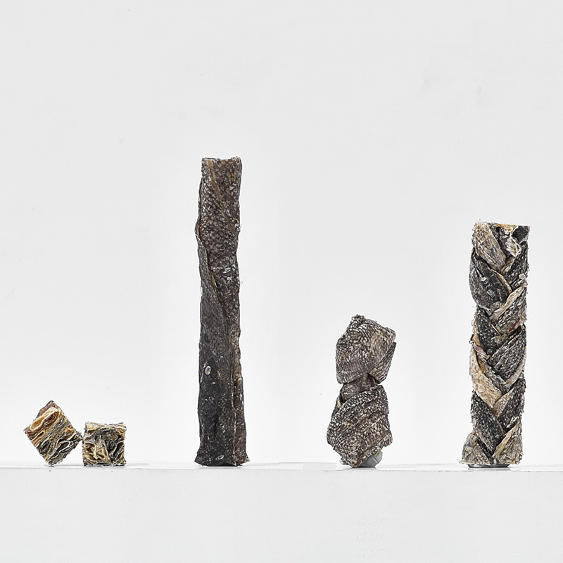 Palatable Organic Dried Pet Food for Healthy Skin