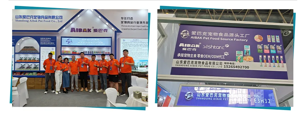 Exhibition Participation