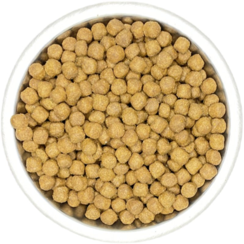 100% Natural Safety Healthy Dog Dry Food Organic Pet Meal Pet Food