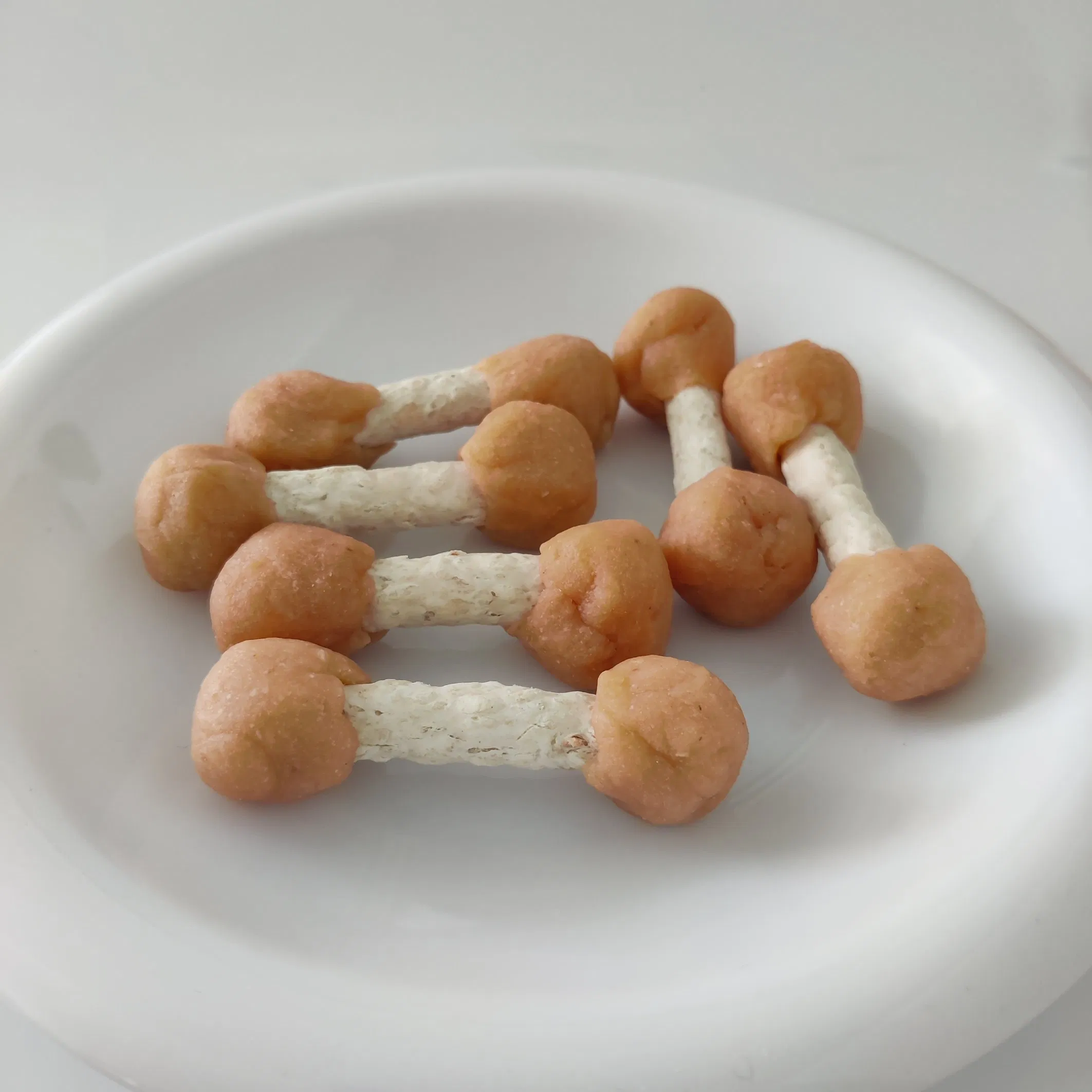 Premium Dog Cat Pet Food Chicken Treats OEM Daily Dental Care