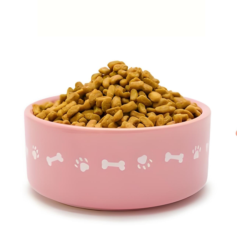 Premium Grain-Free Cat Food with Fresh Salmon Flavor