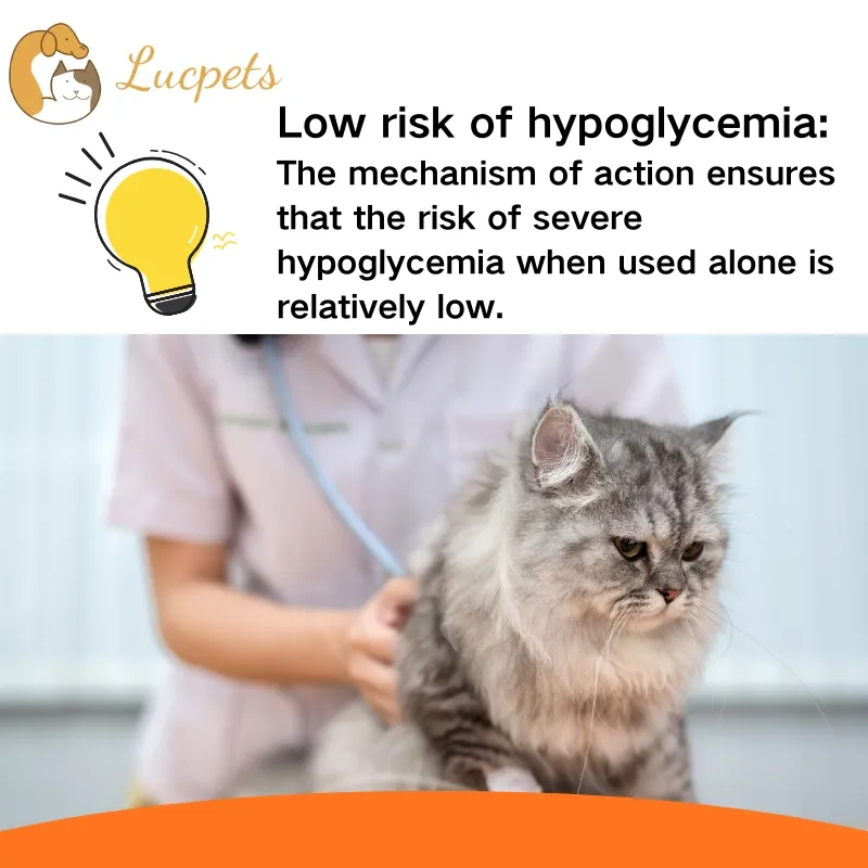 Cat Healthcare Tablets