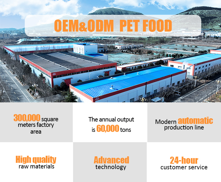 Pet Snack OEM Manufacturer High - Quality Dental Care High Protein 200g Chicken Pet Snack Cheese Bone Dog Food