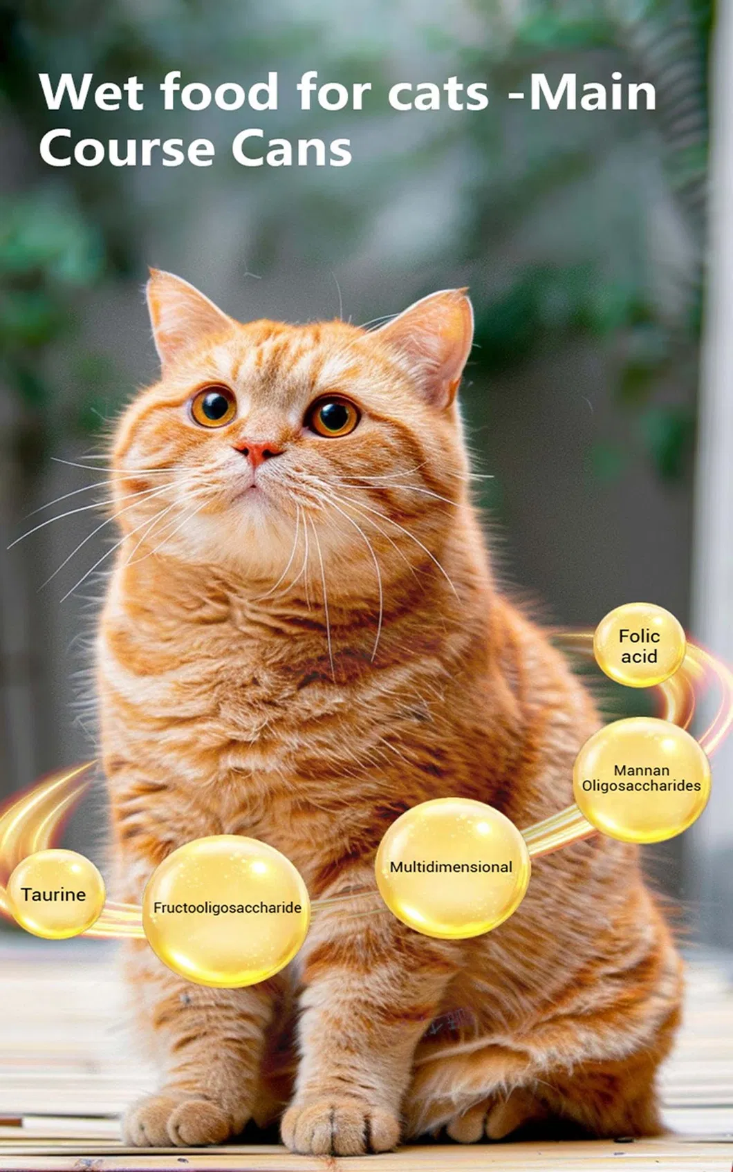 Premium Canned Cat Food