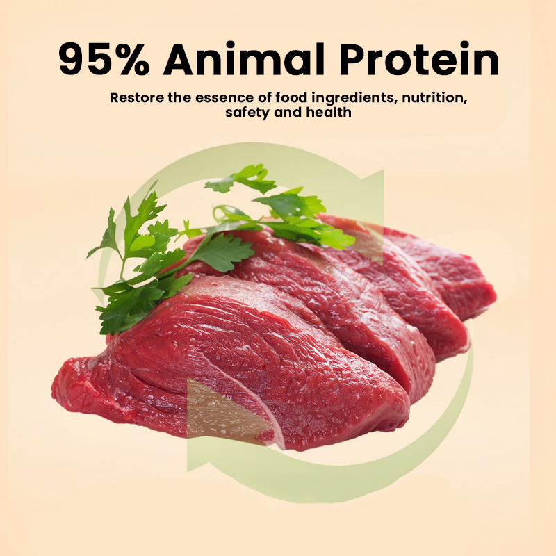 OEM Wholesale Cat Dry Food Immune Systems Organic Palatability Pet Food Dry Cat Food