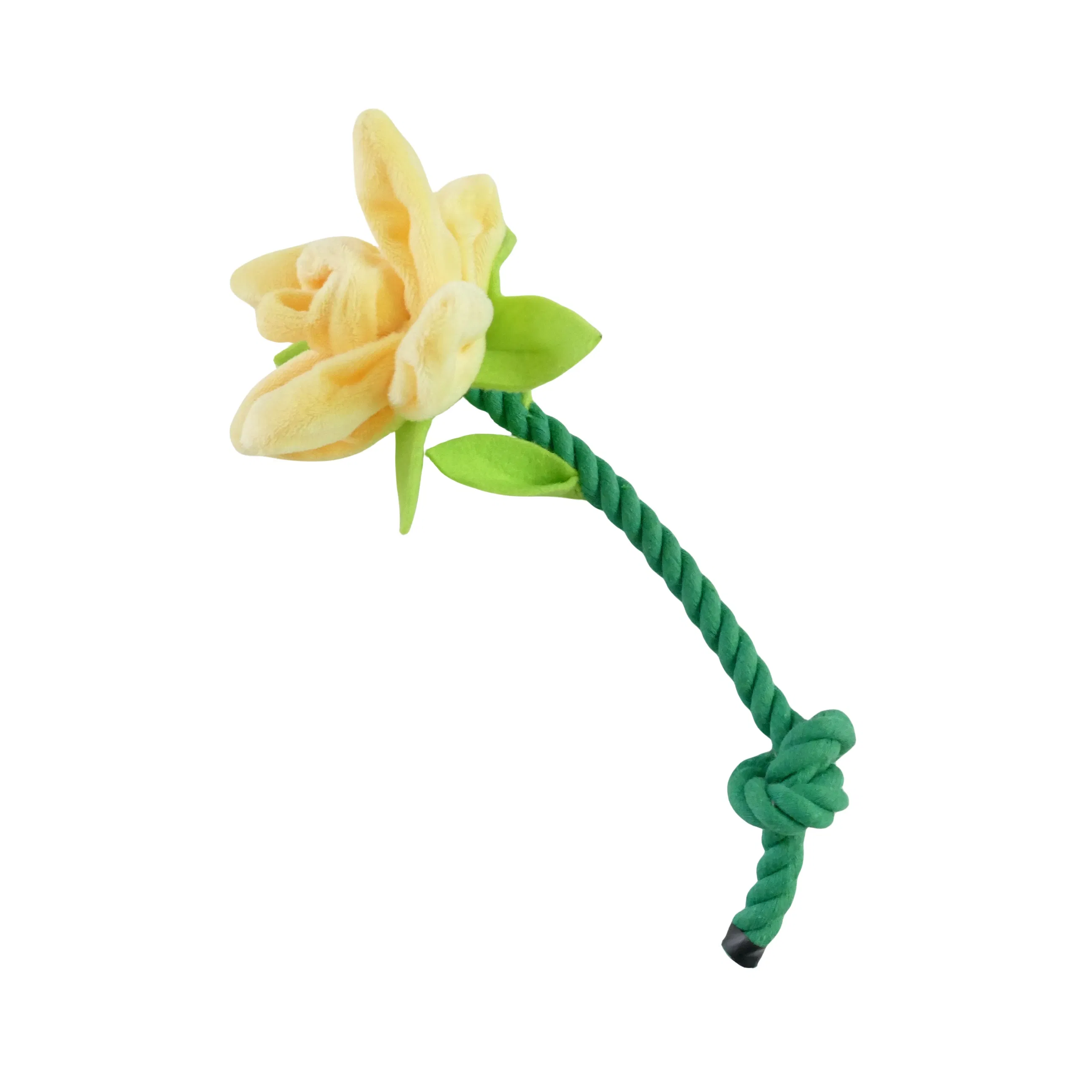 Valentine's Day Flowers Special for Dogs