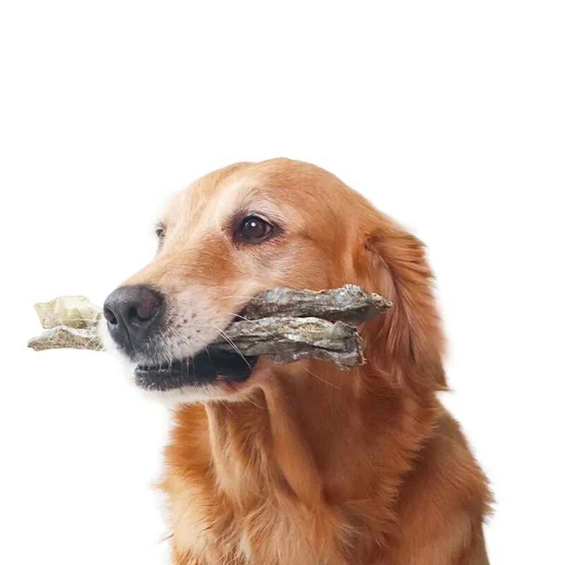 Dried Pet Food Detail 3