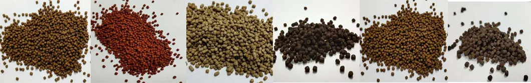 Fish Feed Samples