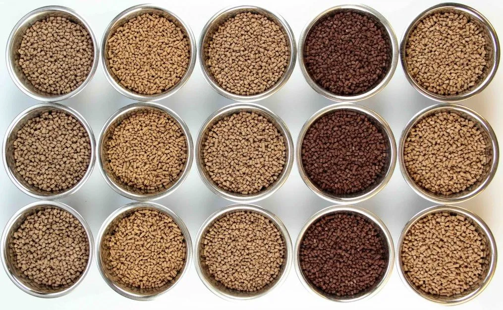 Full Production Line