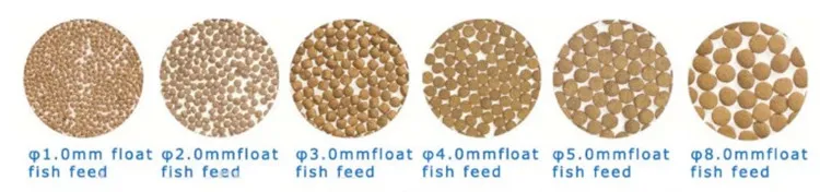 Fish Feed Samples