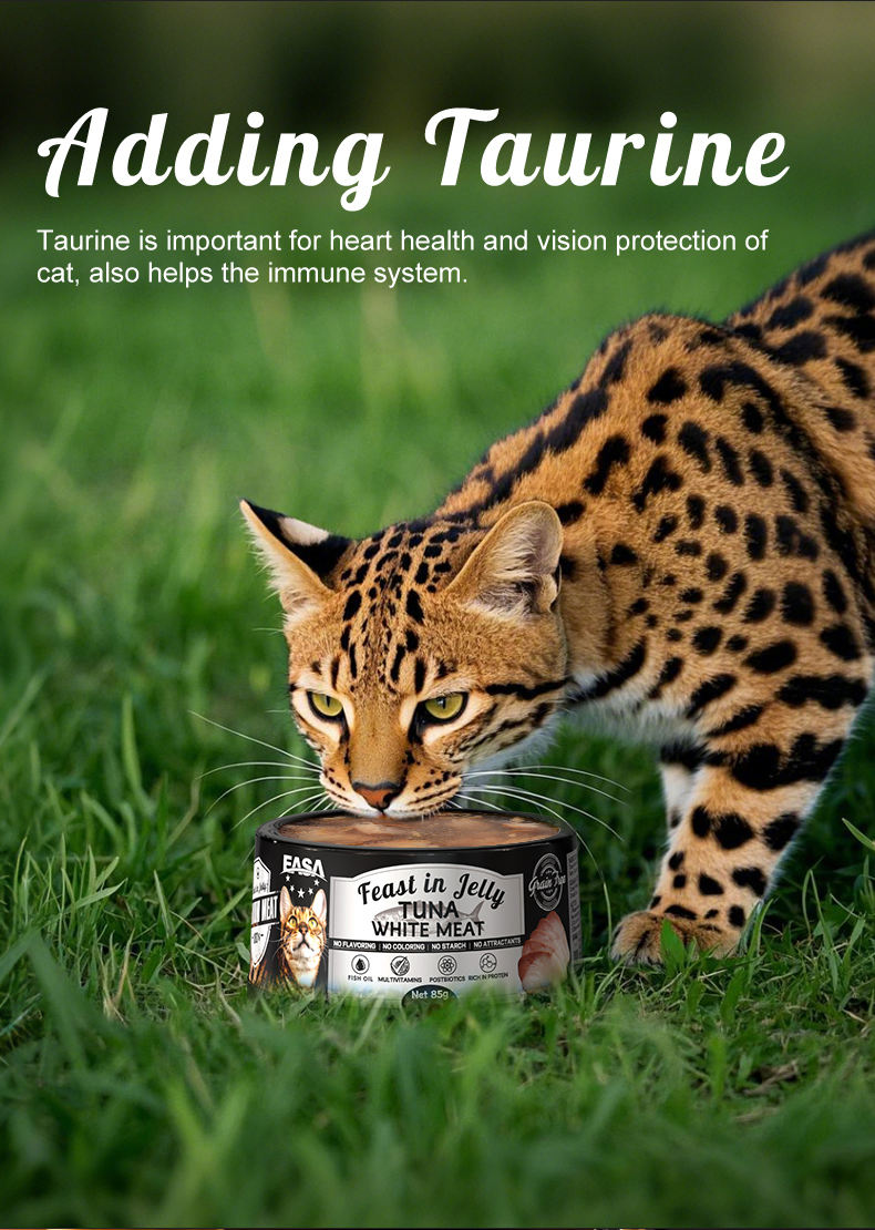 Pet Snack 85g Tuna Whitebait Chicken Jelly Wet Bulk Canned Food OEM/ODM