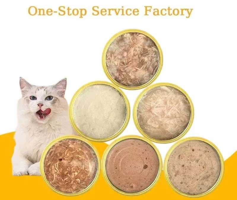 Wet Cat Food Overview