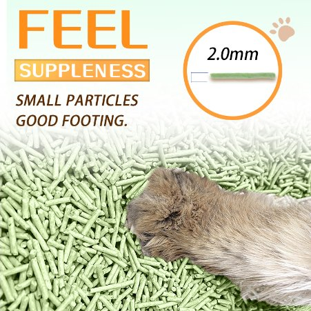 New 6L Premium Tofu Cat Litter Eco-Friendly Plants Strip Tofu Litter Enhanced Odour Control Fast Drying Kitty Litter