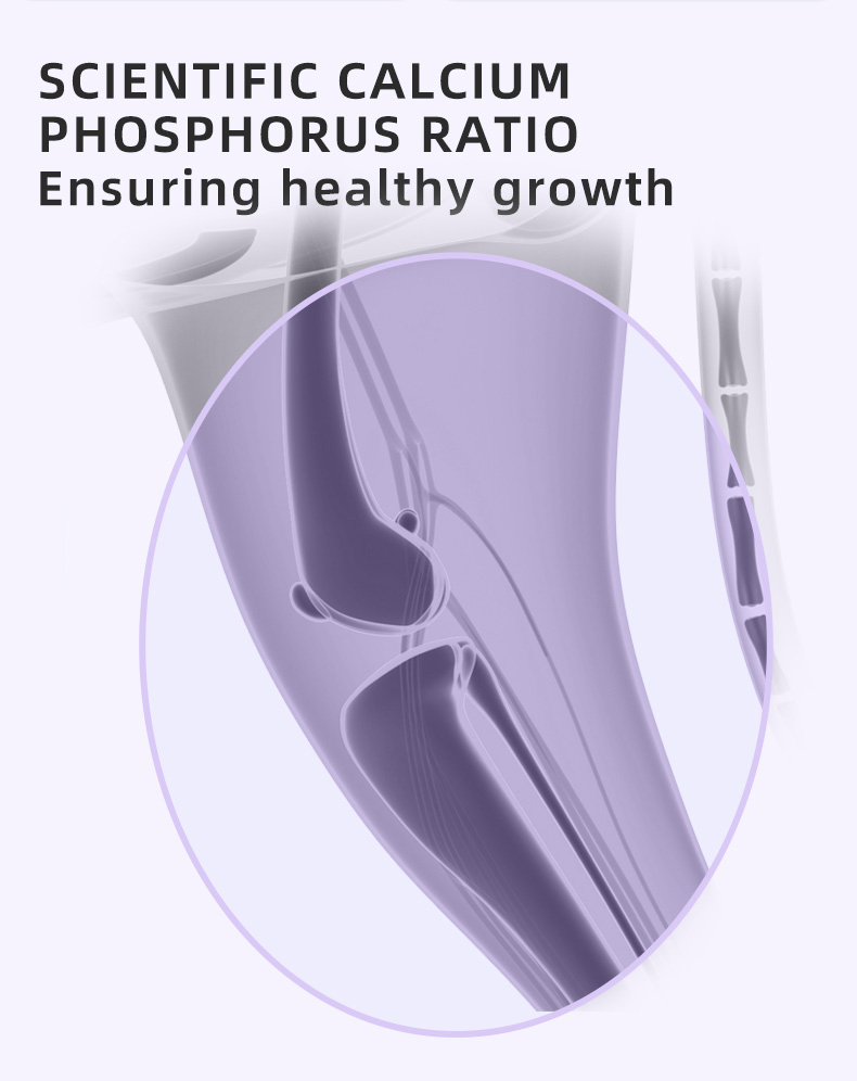 Pet Product Supplier Organic Dry Cat Food 10kg Private Brand High Nutrition
