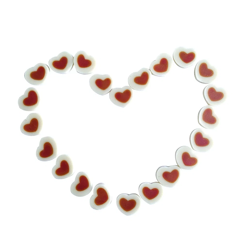 Teeth Protection Dog Food Dental Care Pet Treats Pet Food for Dogs