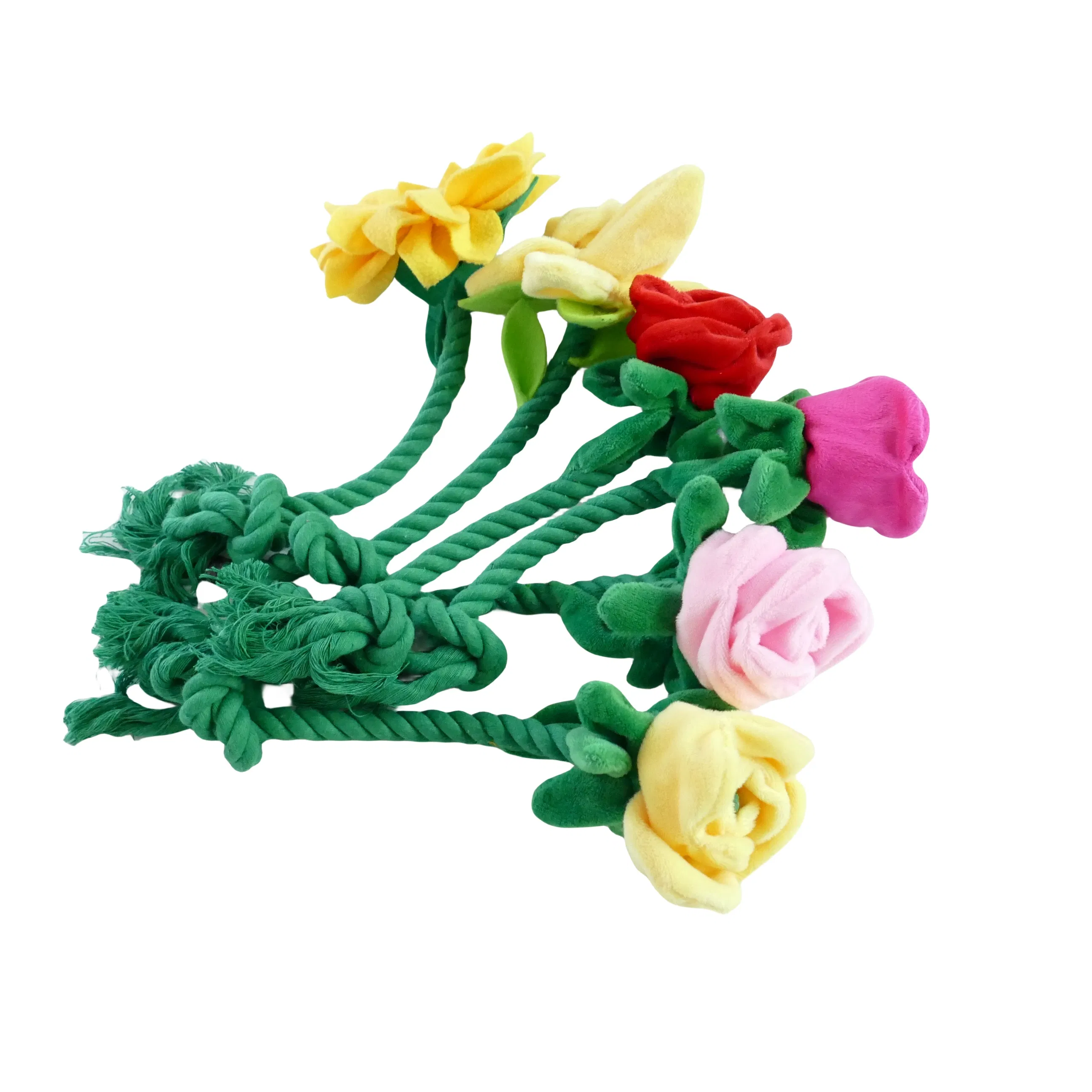 Valentine's Day Flowers Special for Dogs