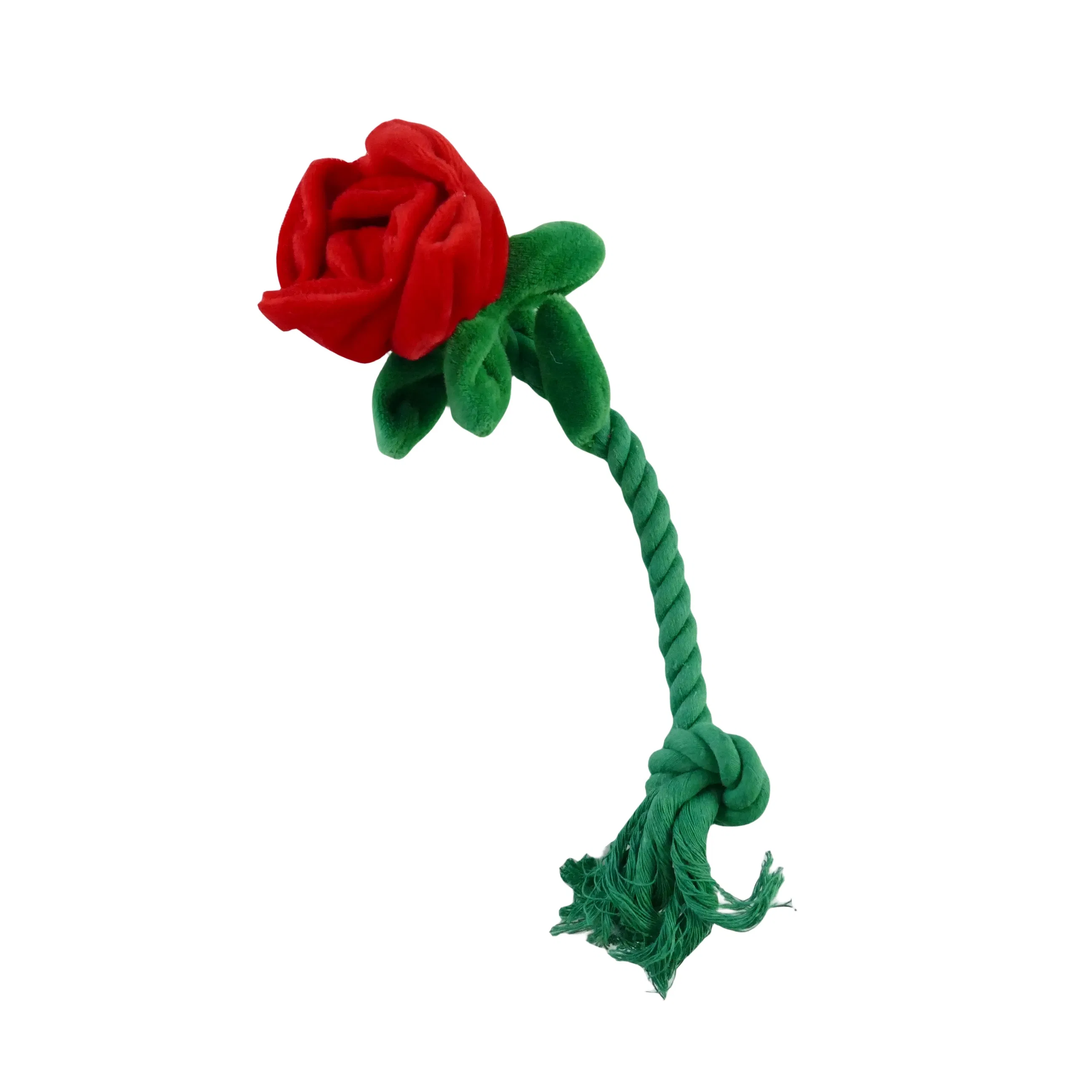 Valentine's Day Flowers Special for Dogs