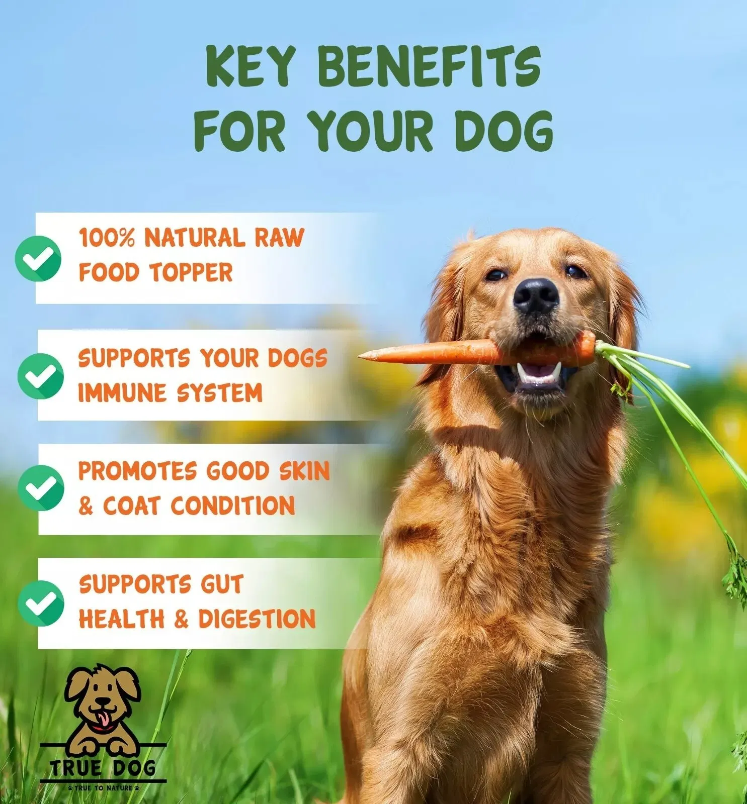 Dried Vegetable &amp; Herb Mix for Dogs, Raw Food Barf Diet, Natural Veg Mix