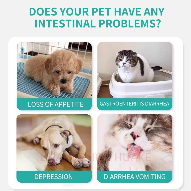 Anal Gland -Healthy bowl Function with Bromelain-Vita Fiber for Dogs &amp; Dandelion Root for Dog Digestive Support and Gut Health