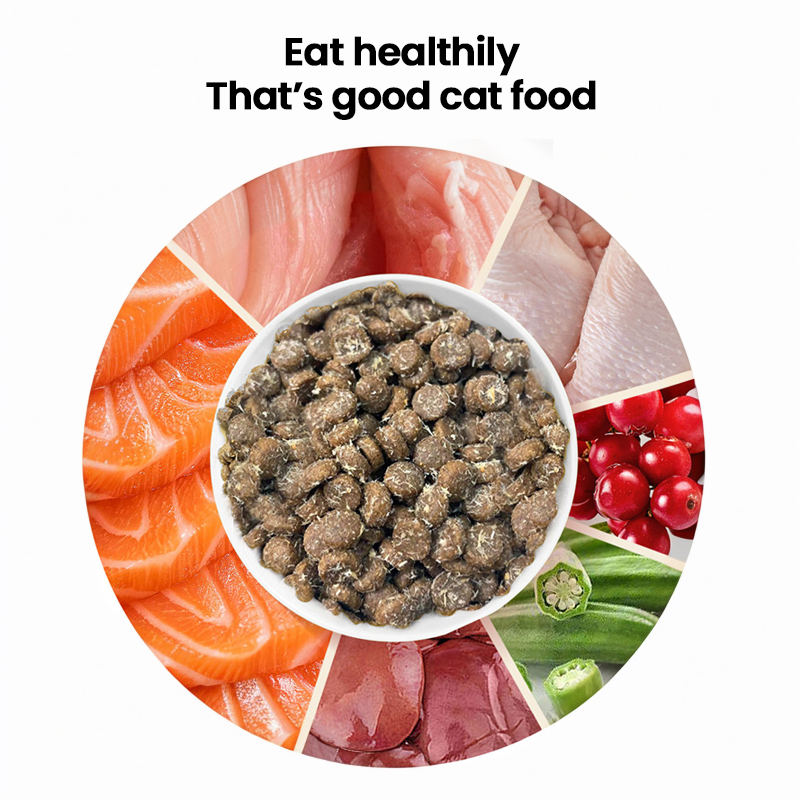 OEM Wholesale Cat Dry Food Immune Systems Organic Palatability Pet Food Dry Cat Food