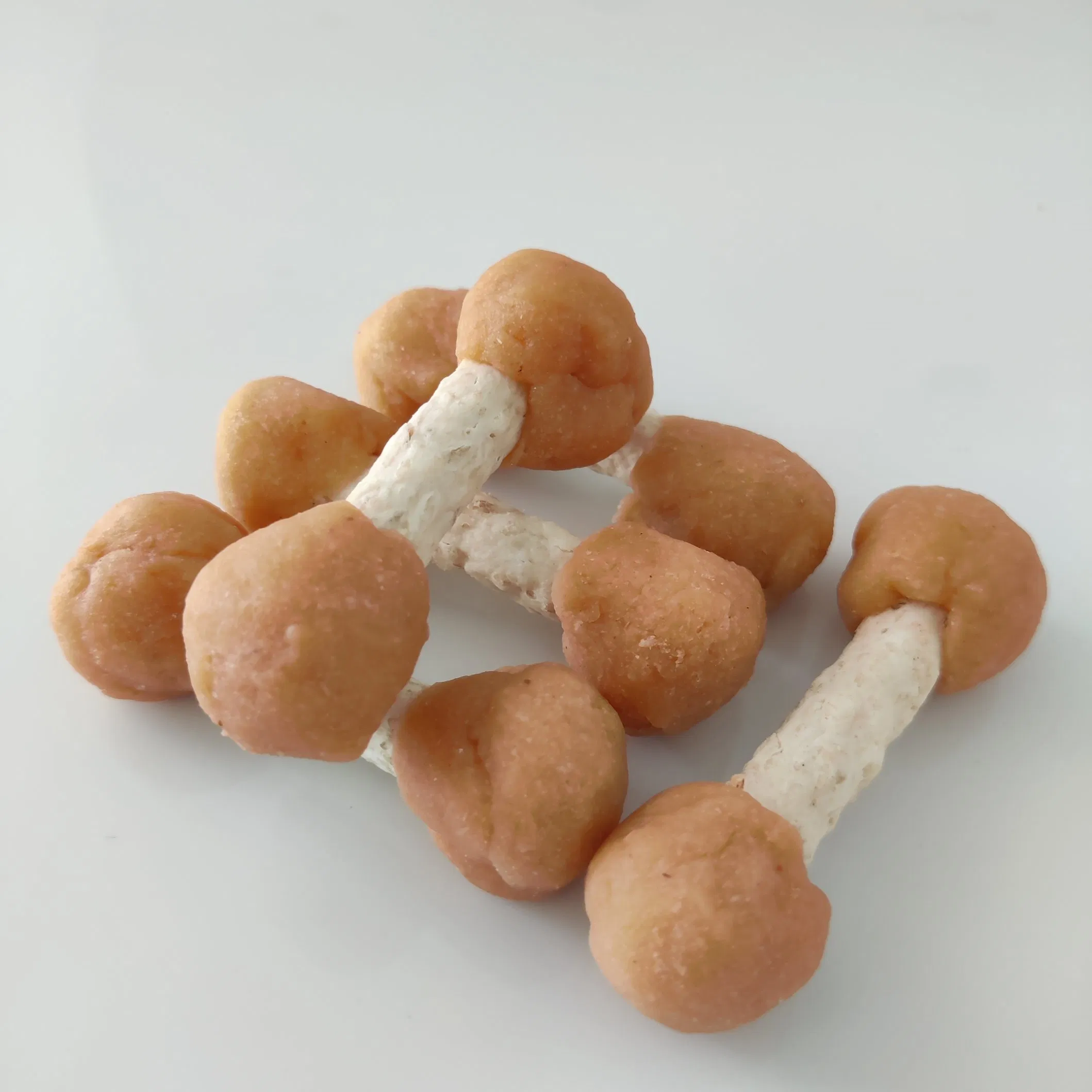 Premium Dog Cat Pet Food Chicken Treats OEM Daily Dental Care