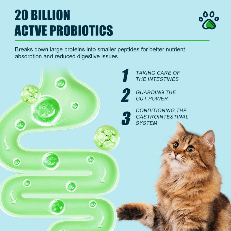 Factory Direct Custom Grain-Free Pet Snacks - High Protein Easy-Digest Shape Design for Cats and Dogs Universal Dry Food