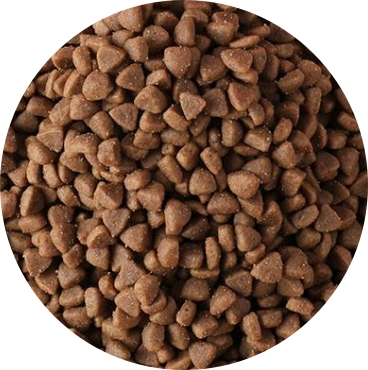 High Protein Organic Freeze-Dried Chicken Treats Factory Wholesale Price Safe Pet Food