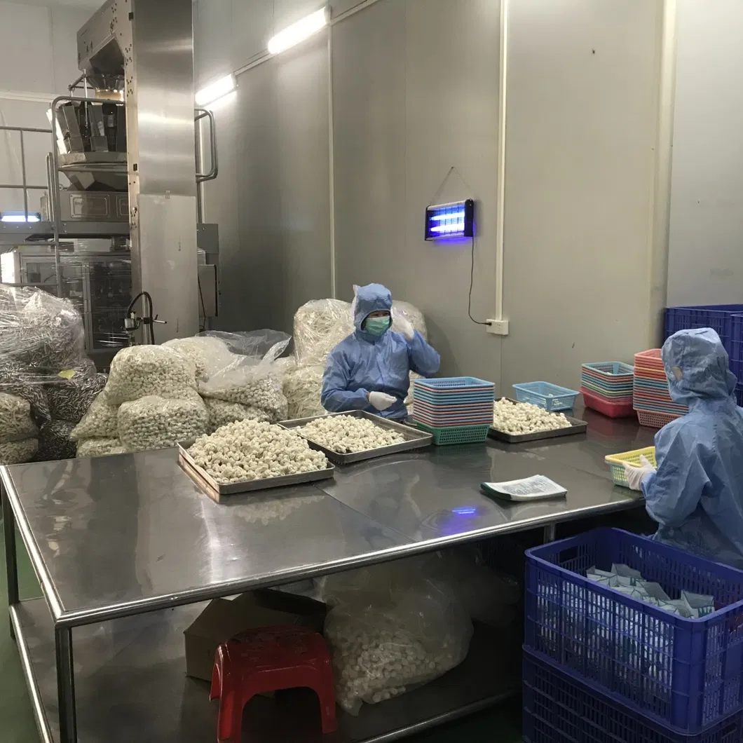 Dog Dental Care Stick