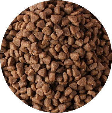 Factory Price Canned Food Dried Wet Pet Food Pet Snacks Animal