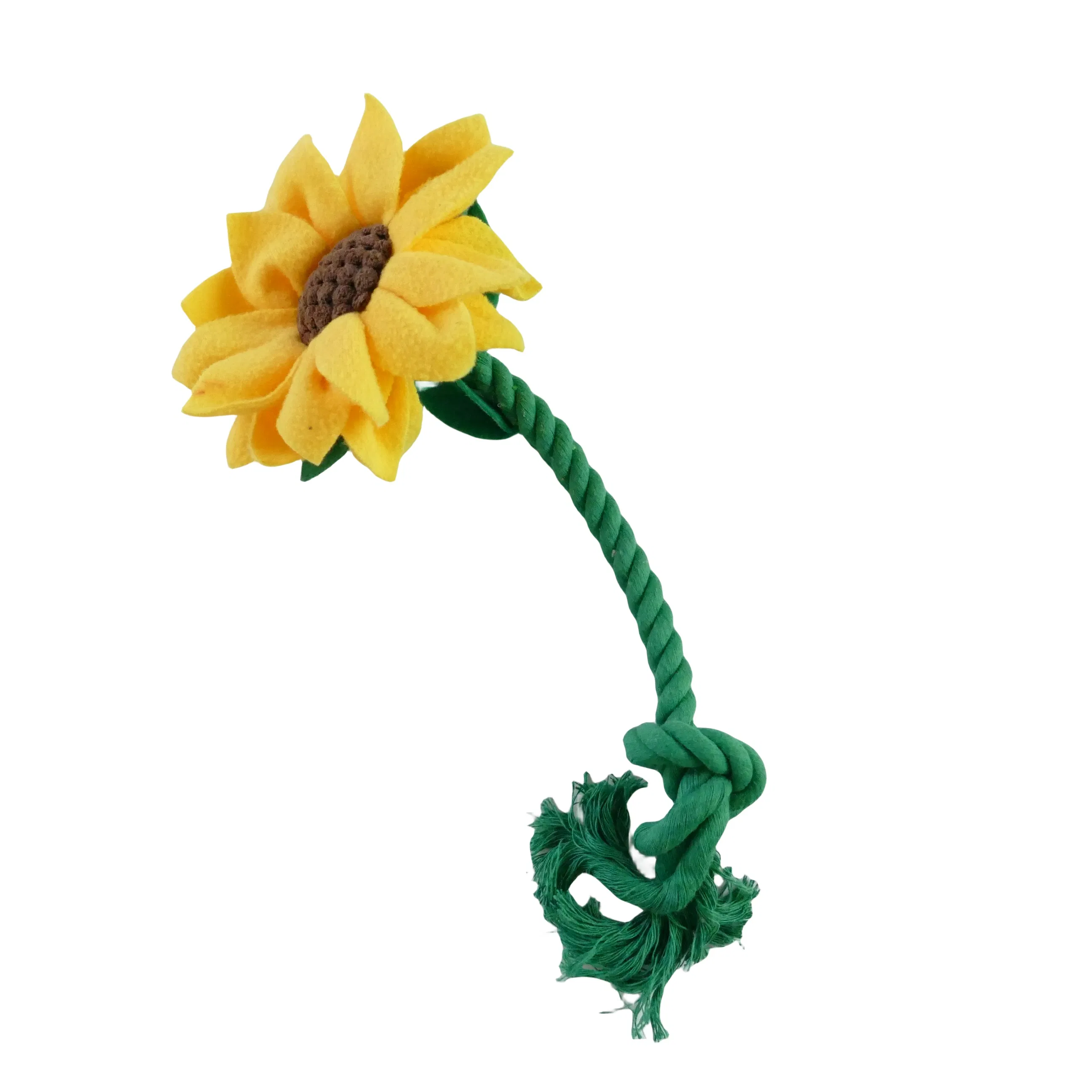 Valentine's Day Flowers Special for Dogs