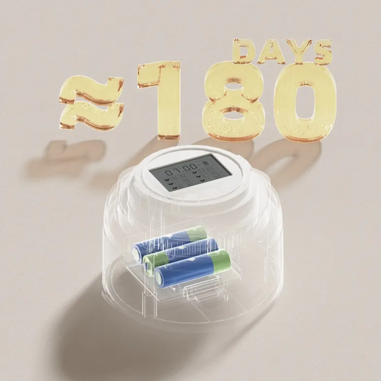 Internal Structure 2